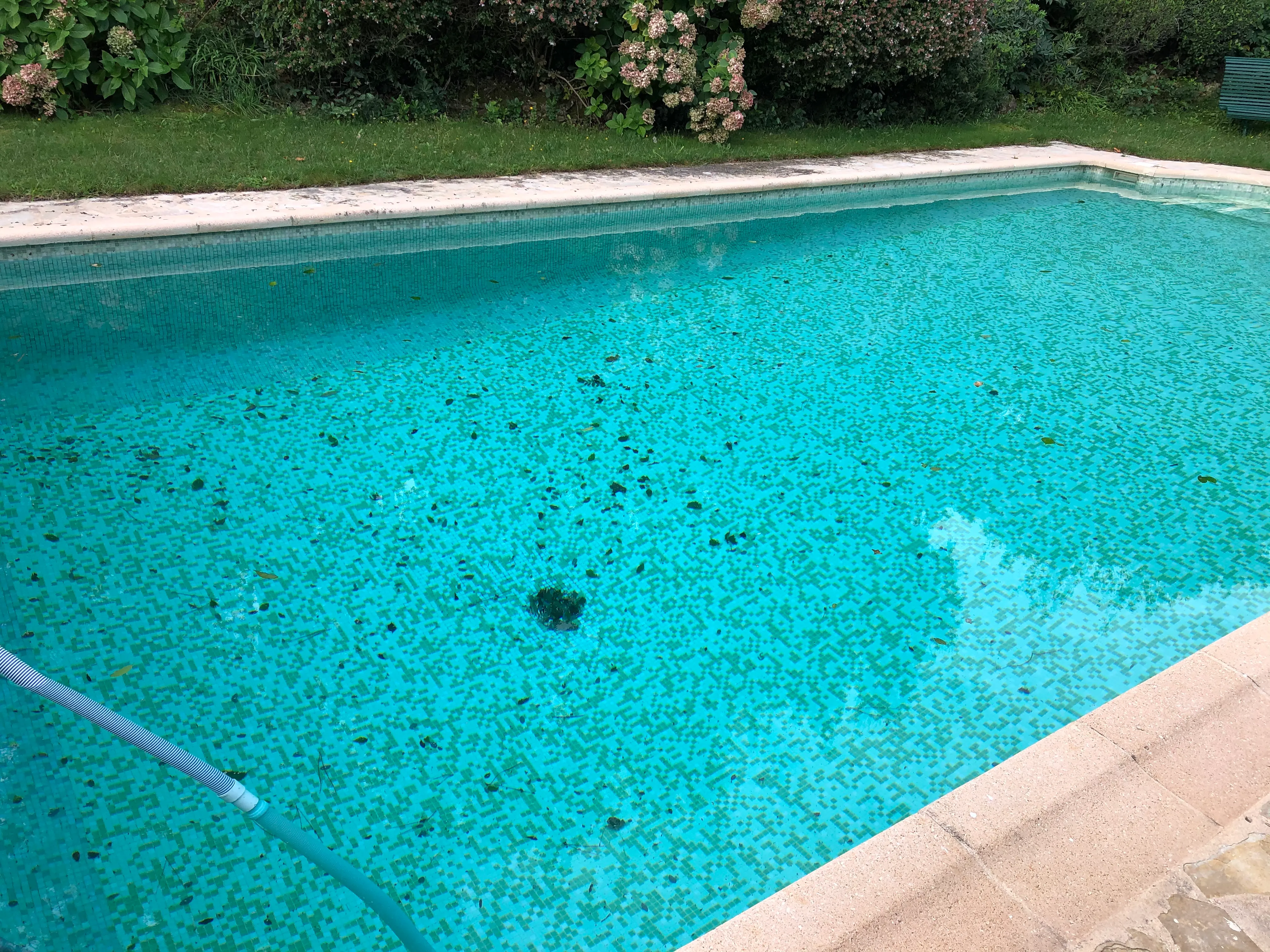 Propriétaires occupés