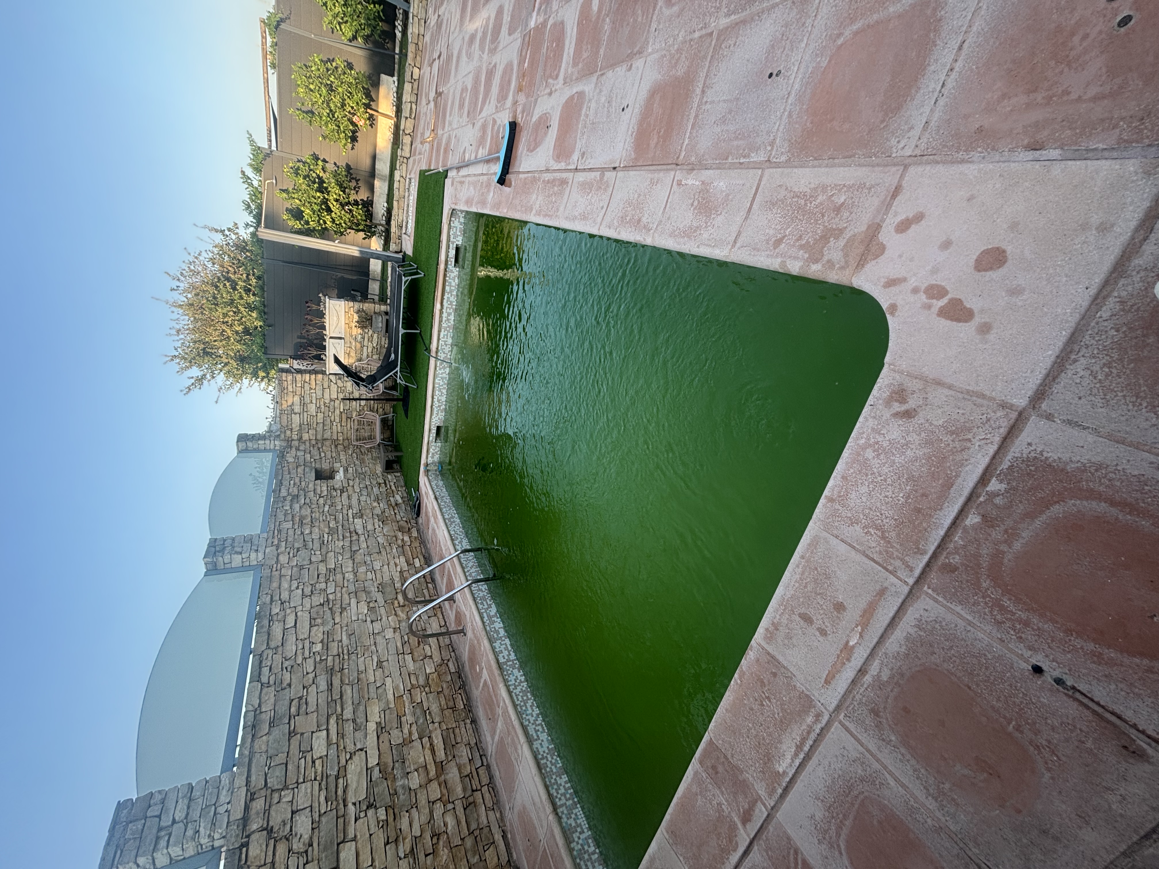 Piscine eau verte avant traitement
