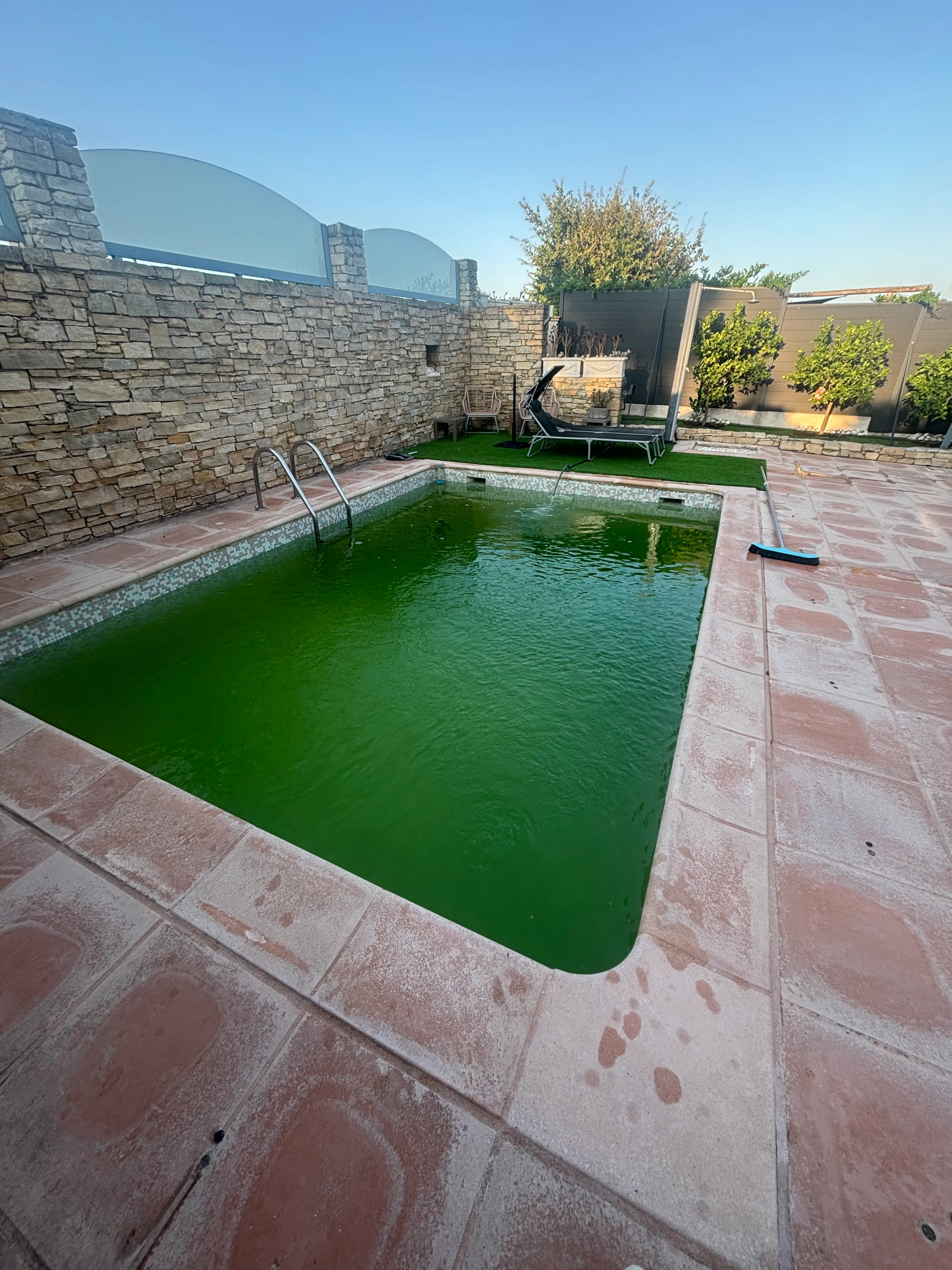 Eau verte piscine avant intervention